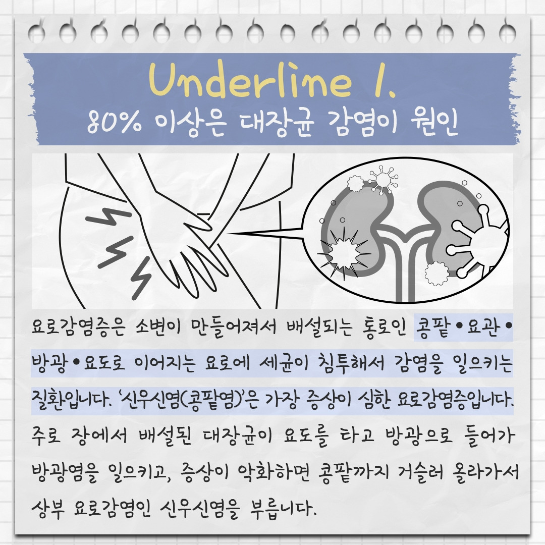 신우신염 2 .jpg