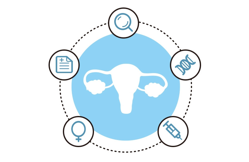 4.※자궁내막암 위험 요인.jpg