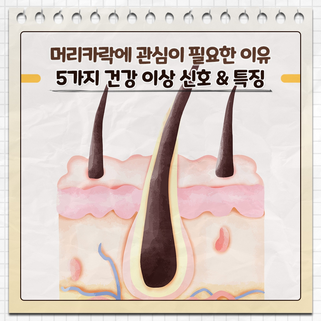 머리카락_01.jpg