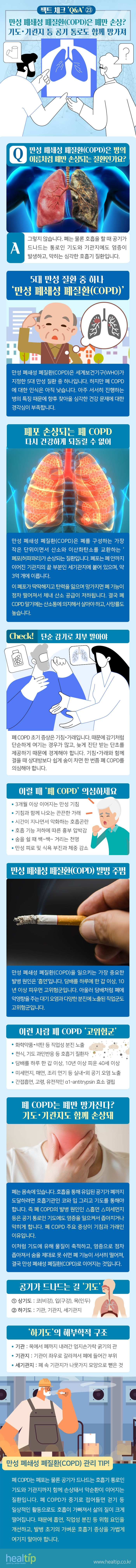 팩트 체크 ㉓ _ 힐팁.jpg