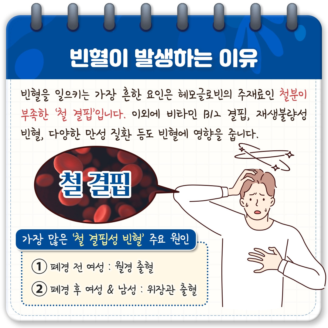 철결핍성 빈혈_03.jpg