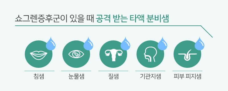 2.※쇼그렌증후군이 있을 때 공격 받는 타액 분비샘.jpg