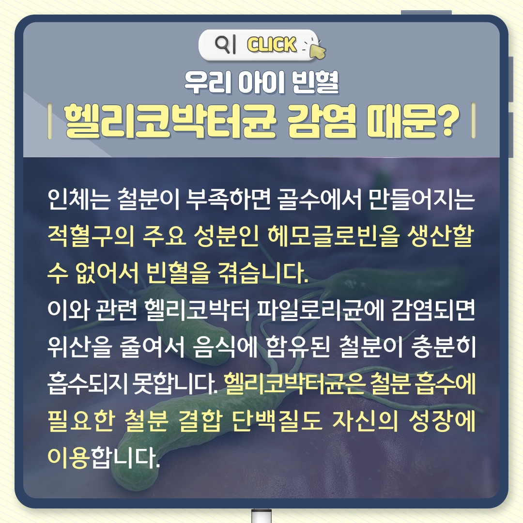 빈혈_07 .jpg