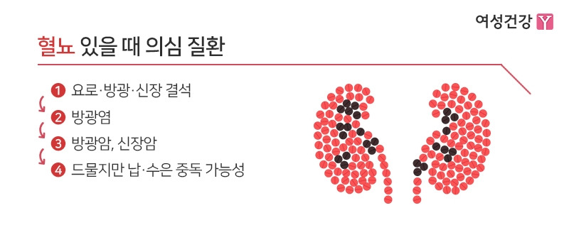 5.※혈뇨 있을 때 의심 질환.jpg