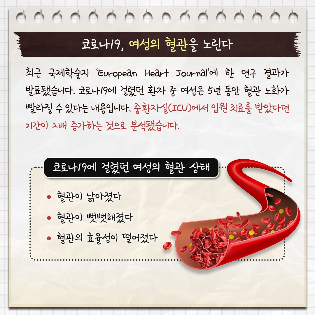 코로나19와 여성혈관노화_02.jpg