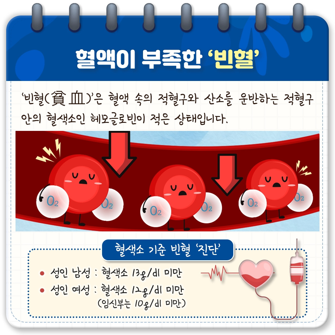 철결핍성 빈혈_02.jpg