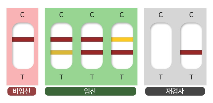▶임신 진단 테스크기 결과 확인 방법.jpg