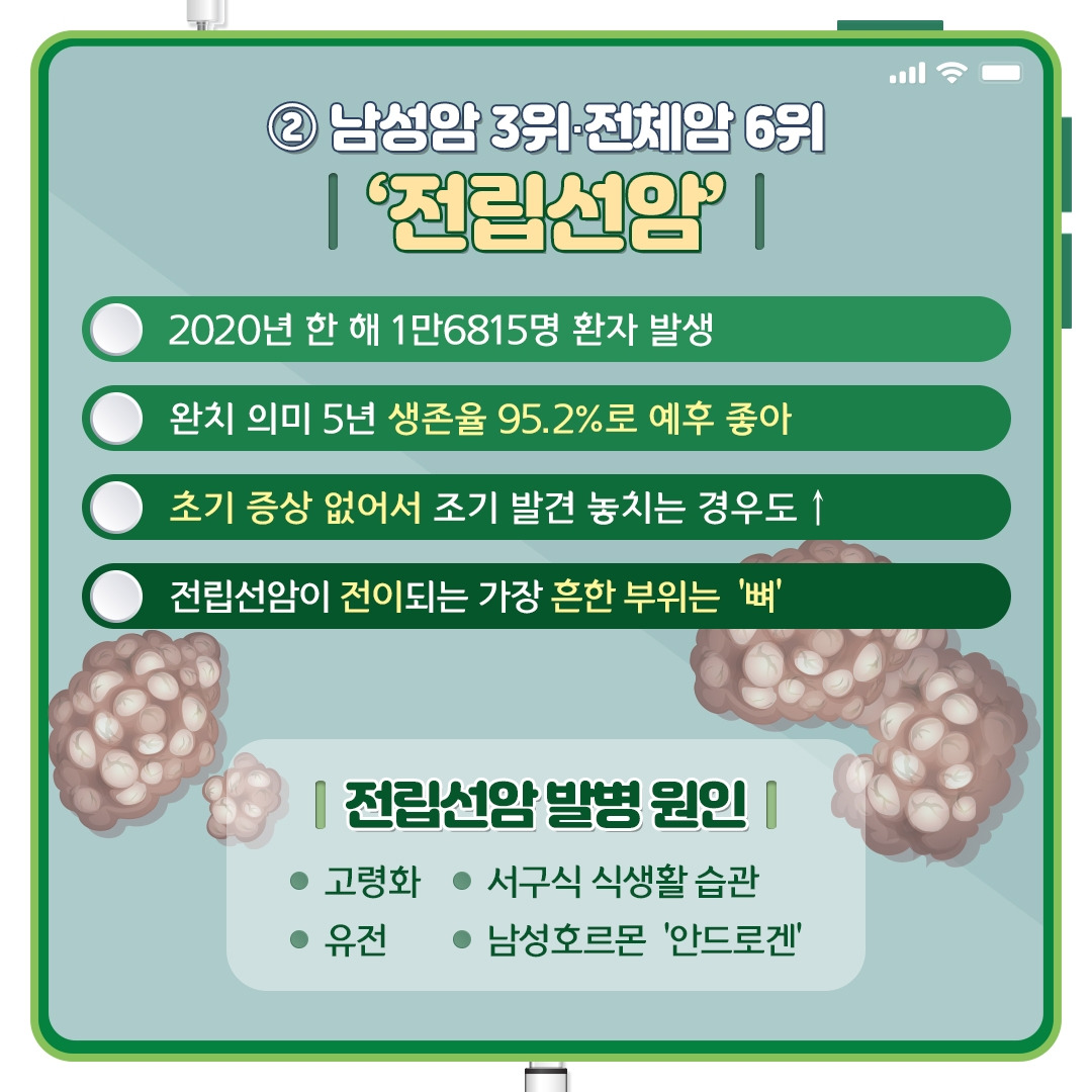전립선_06.jpg