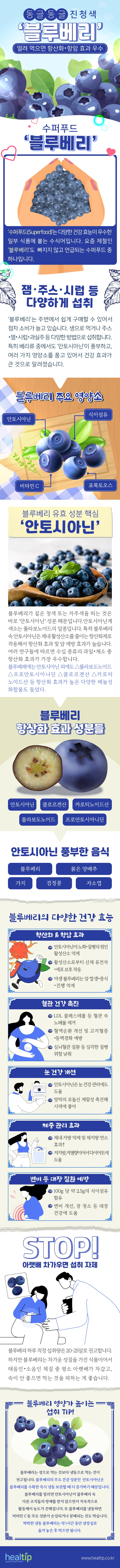 240704_블루베리_힐팁.jpg