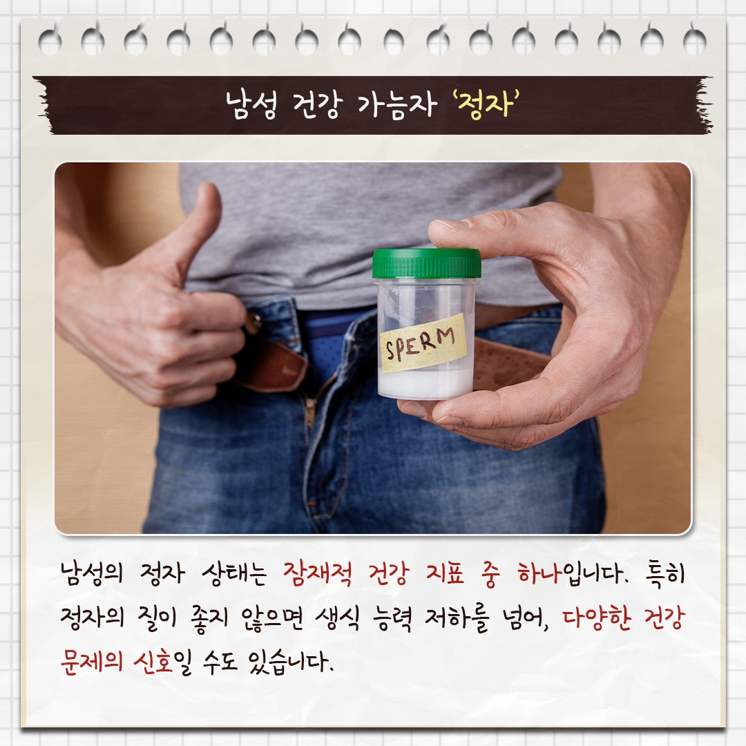 정자건강_02.jpg