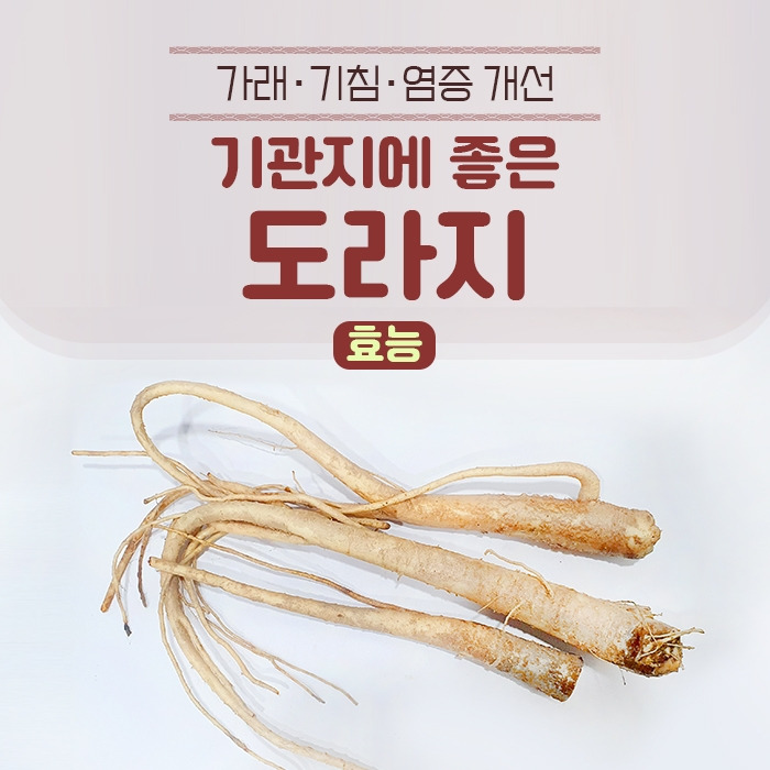 더덕_힐팁.jpg