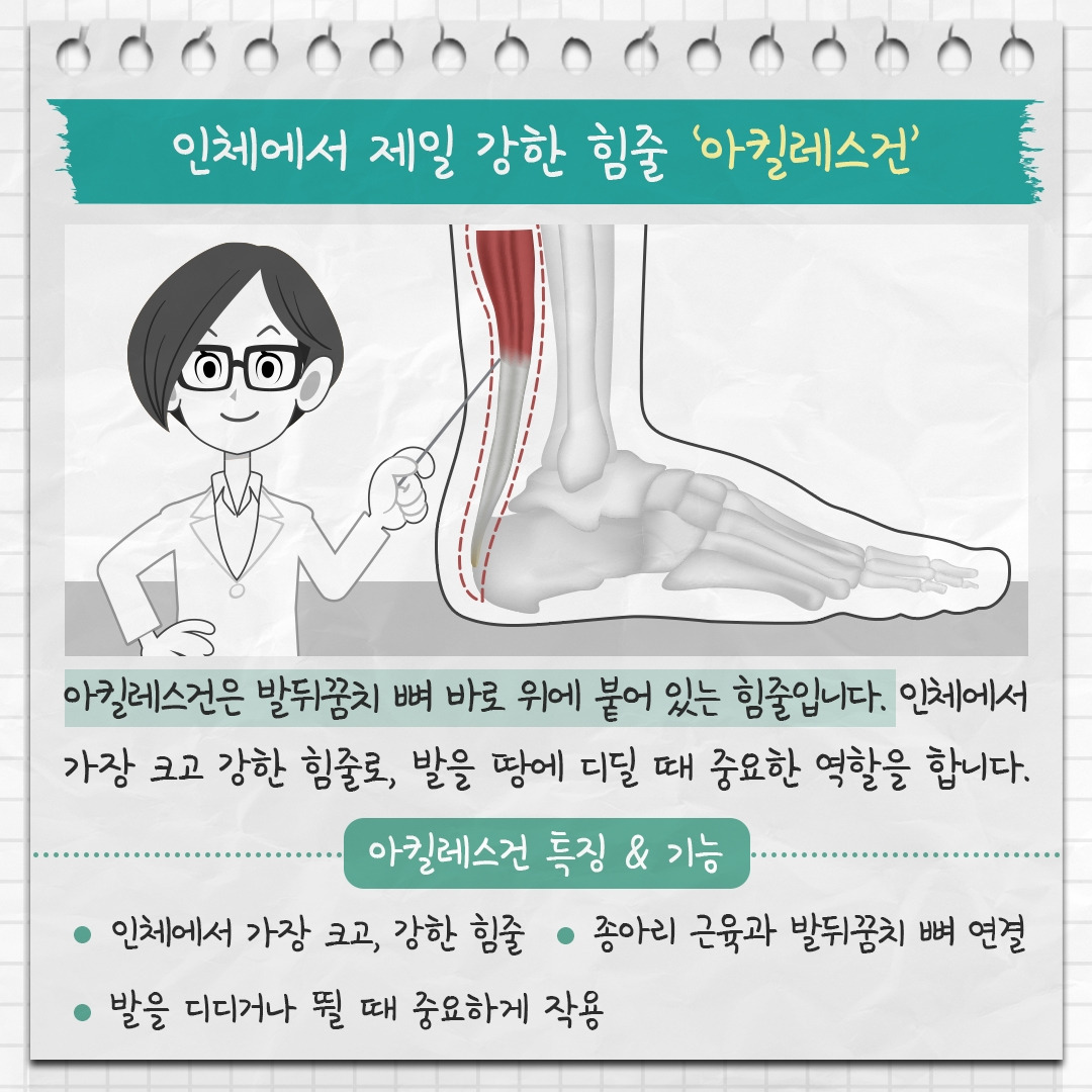 아킬레스건염 1 .jpg