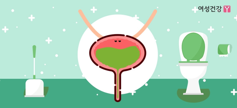 8.▶초록색 또는 파란색.jpg