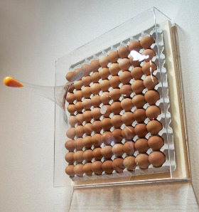 super egg box-new.jpg