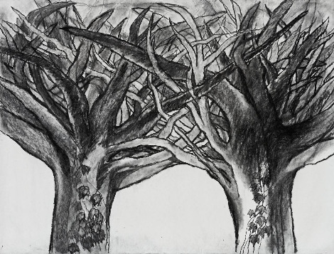 3_하늘에 뿌리를 두다, Lay roots in the sky, 190 x 260 cm, Charcoal on paper, 2014.jpg