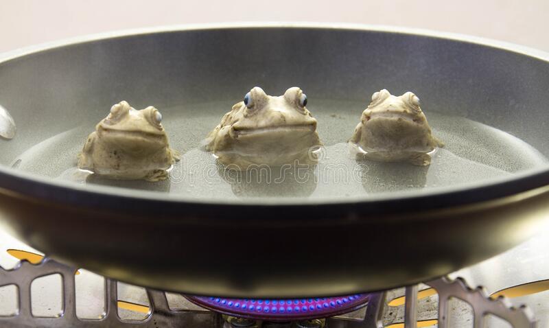 ceramic-frogs-boiling-frying-pan-stove-conceptual-image-horizontal-format-frogs-boiling-pot-stove-190291318.jpg