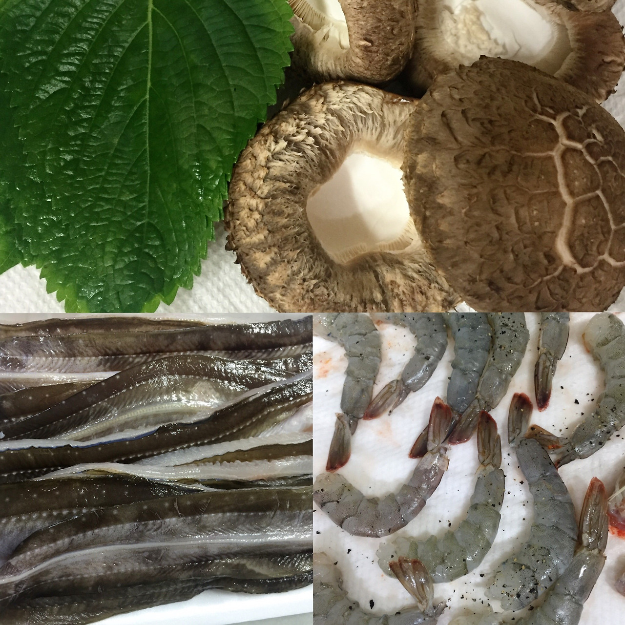 2016-01-28 11.30.08.jpg