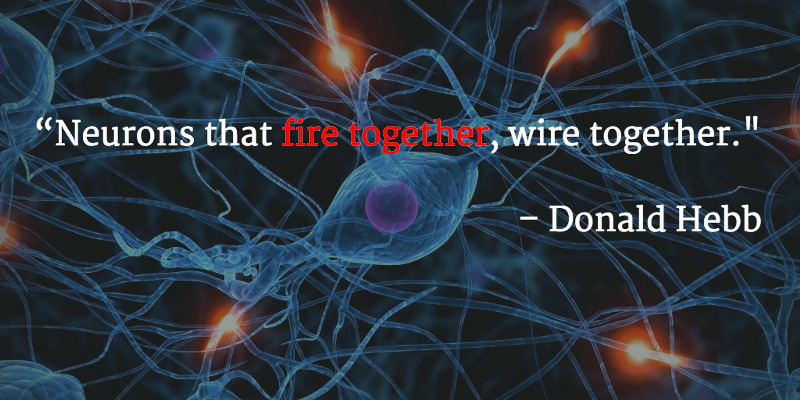 Neurons-that-fire-together-wire-together.jpg