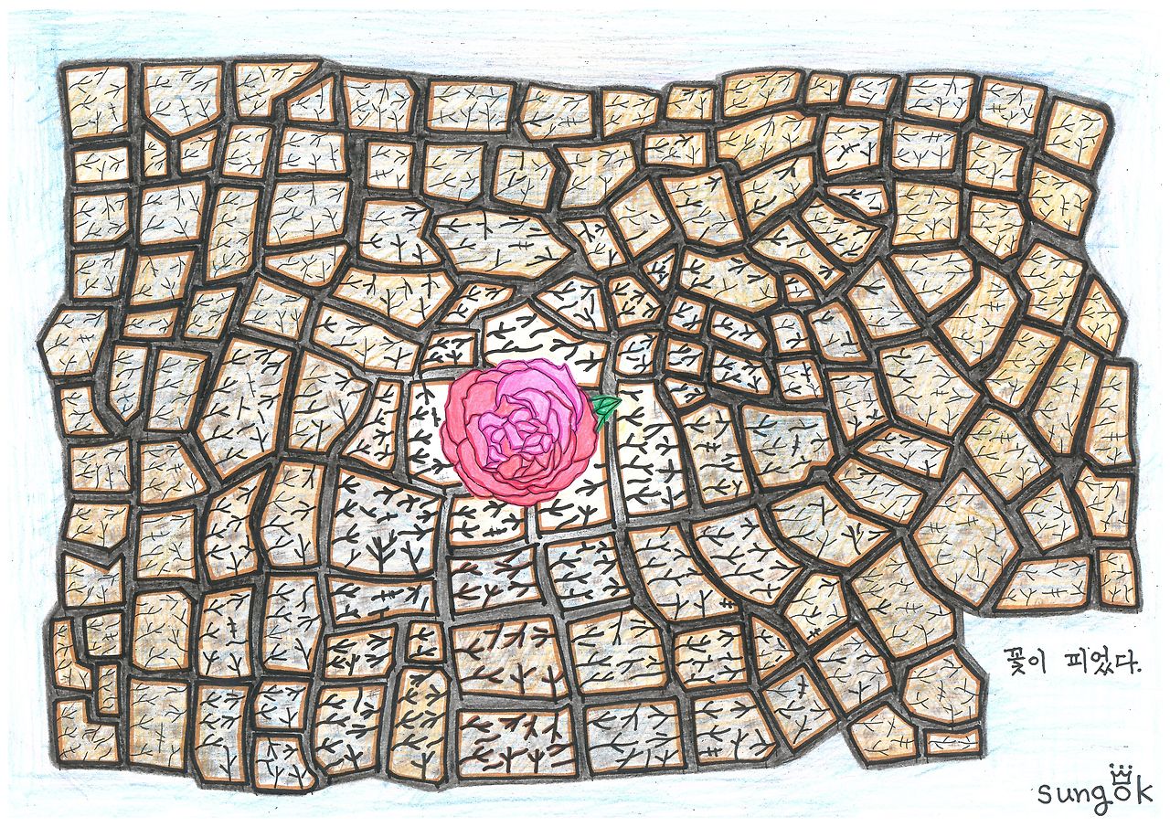 80-1. 꽃이 피었다.jpg