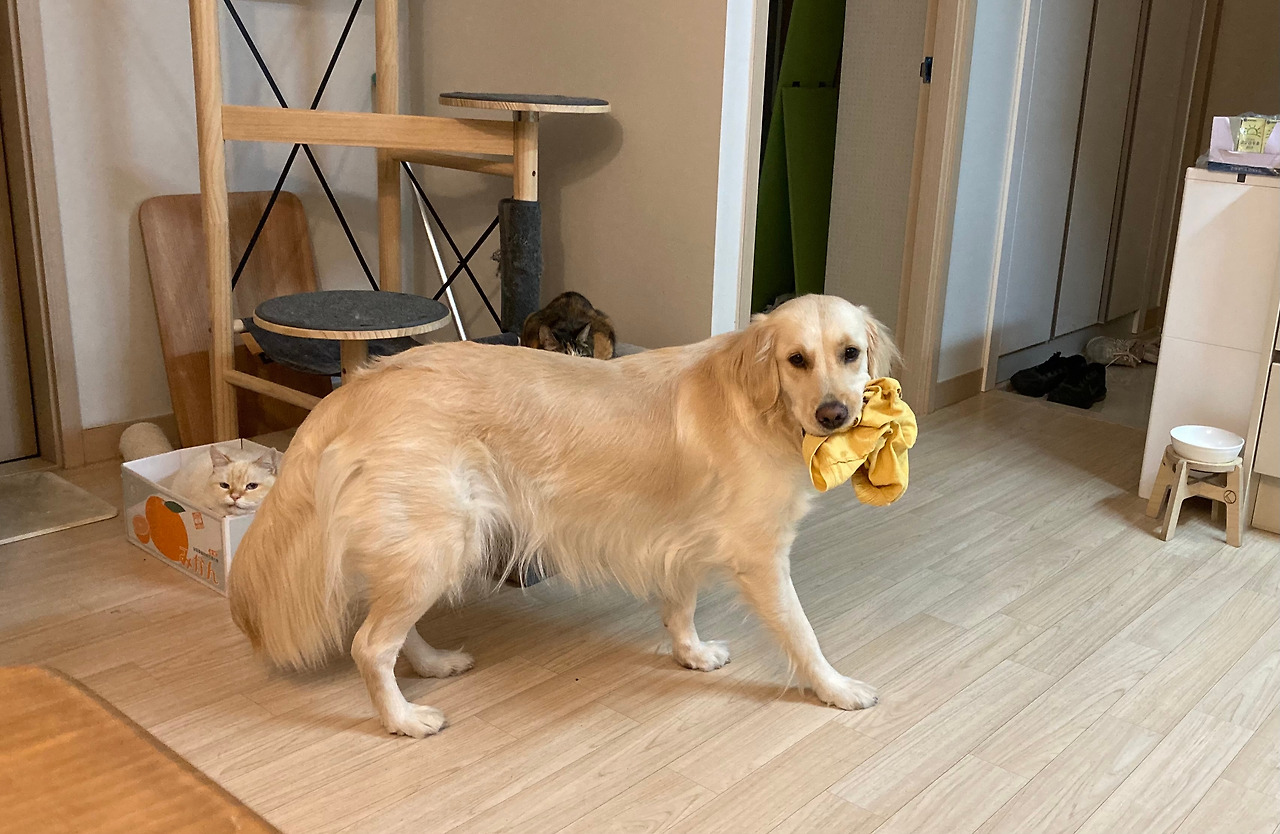 사진 2.jpg