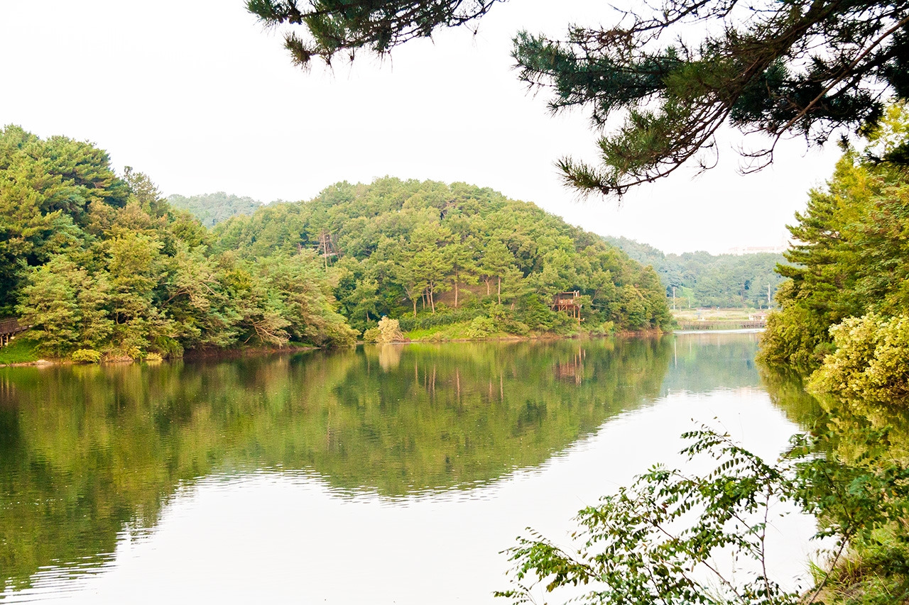 Seonam_Lake_Park,_Ulsan.jpg