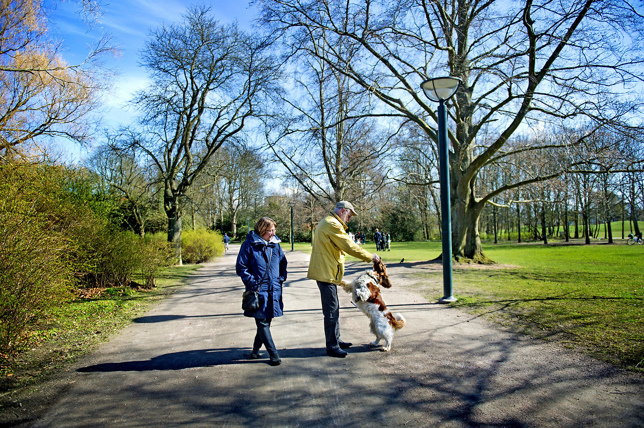 aline_lessner-a_walk_in_the_park-4780.jpg