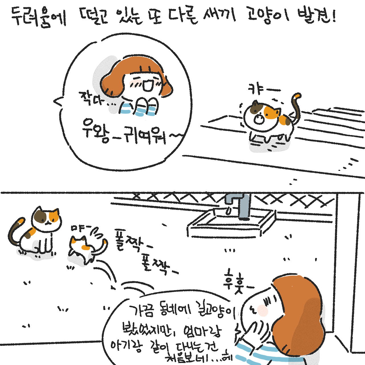 고양이3.jpg