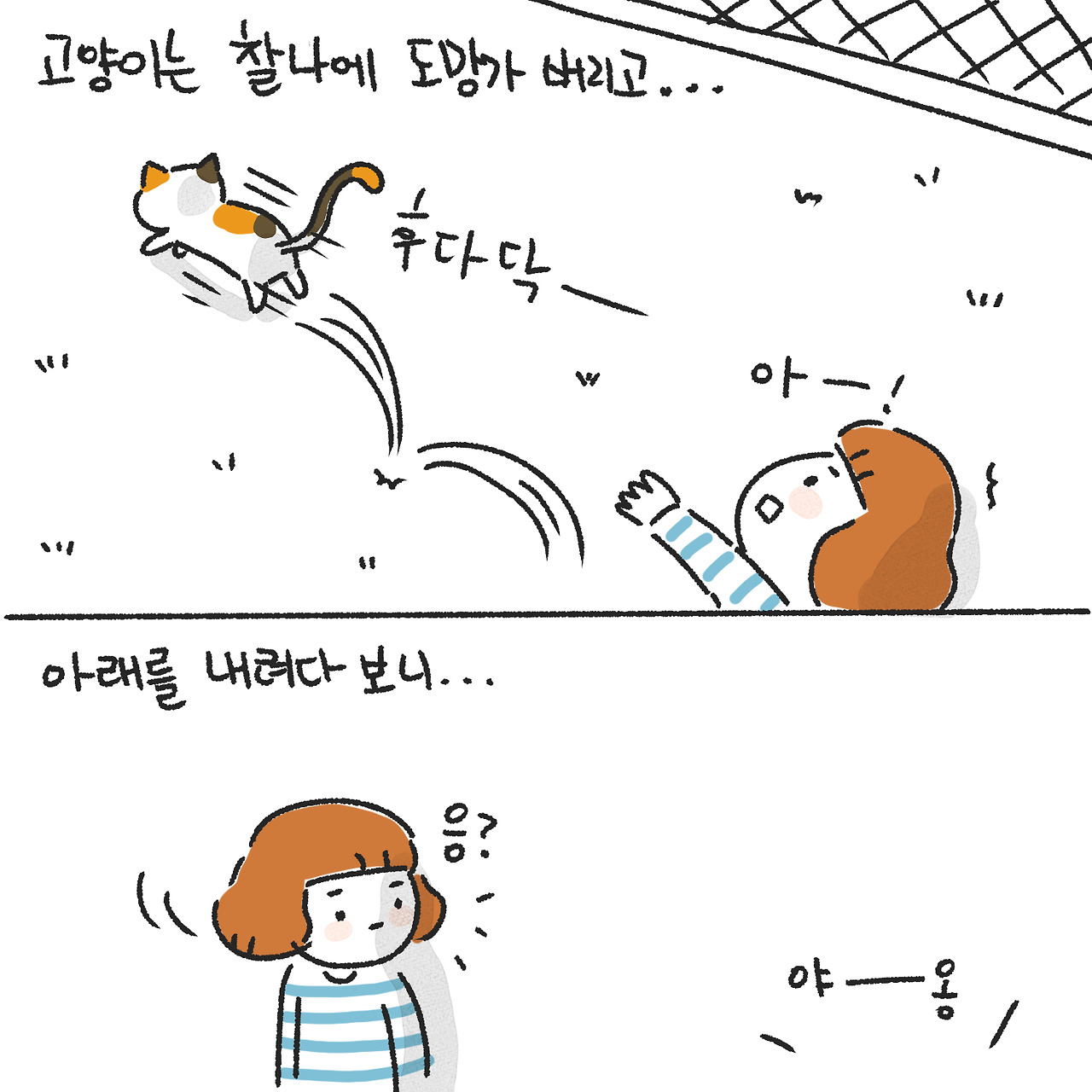 고양이2.jpg