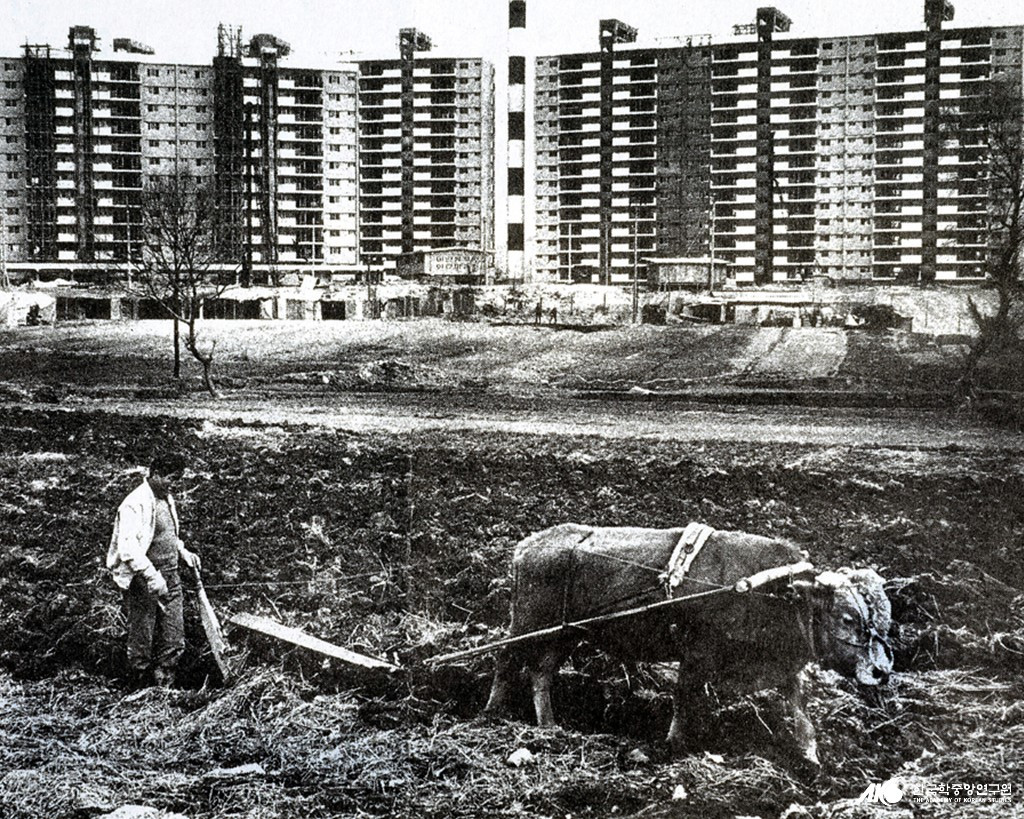 1970년대 현대아파트 25동 앞.jpg