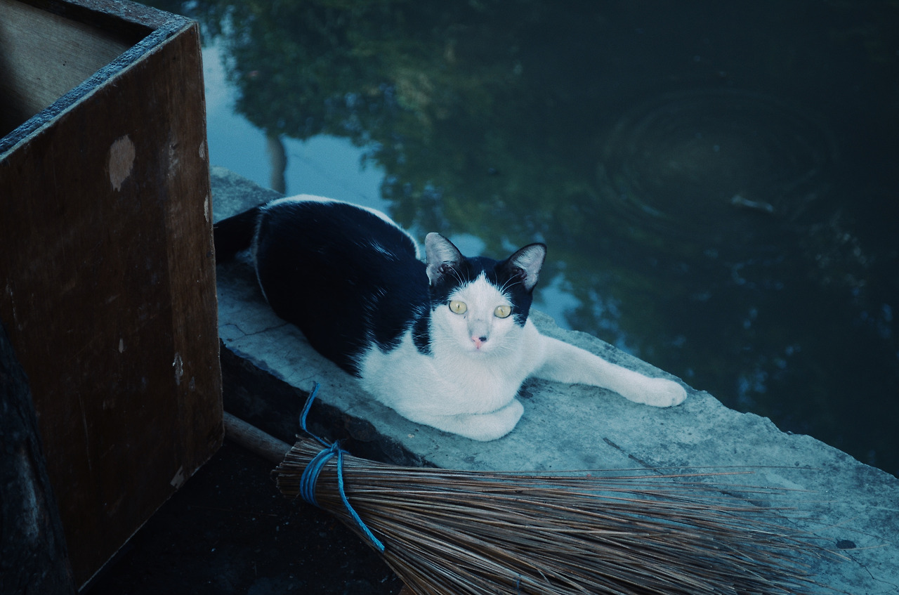 여행작가 서현지 인도변태 서현지 인도네시아 자카르타 아시아여행 여행강연 여행강연추천 강연추천 강연자 여행콘텐츠크리에이터 유튜버 콘텐츠크리에이터 자카르타여행 자카르타물가 자카르타비자  (9).jpg