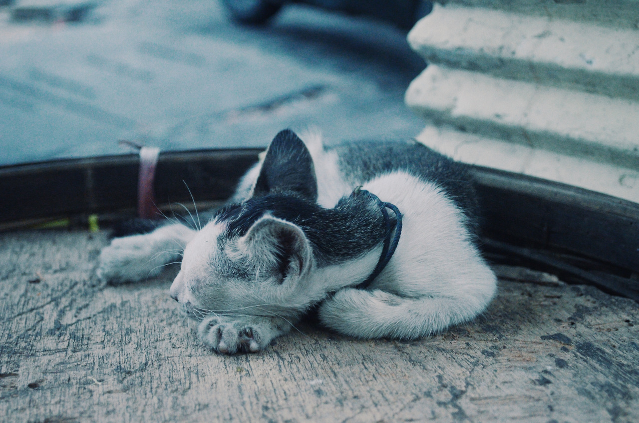 여행작가 서현지 인도변태 서현지 인도네시아 자카르타 아시아여행 여행강연 여행강연추천 강연추천 강연자 여행콘텐츠크리에이터 유튜버 콘텐츠크리에이터 자카르타여행 자카르타물가 자카르타비자  (27).jpg
