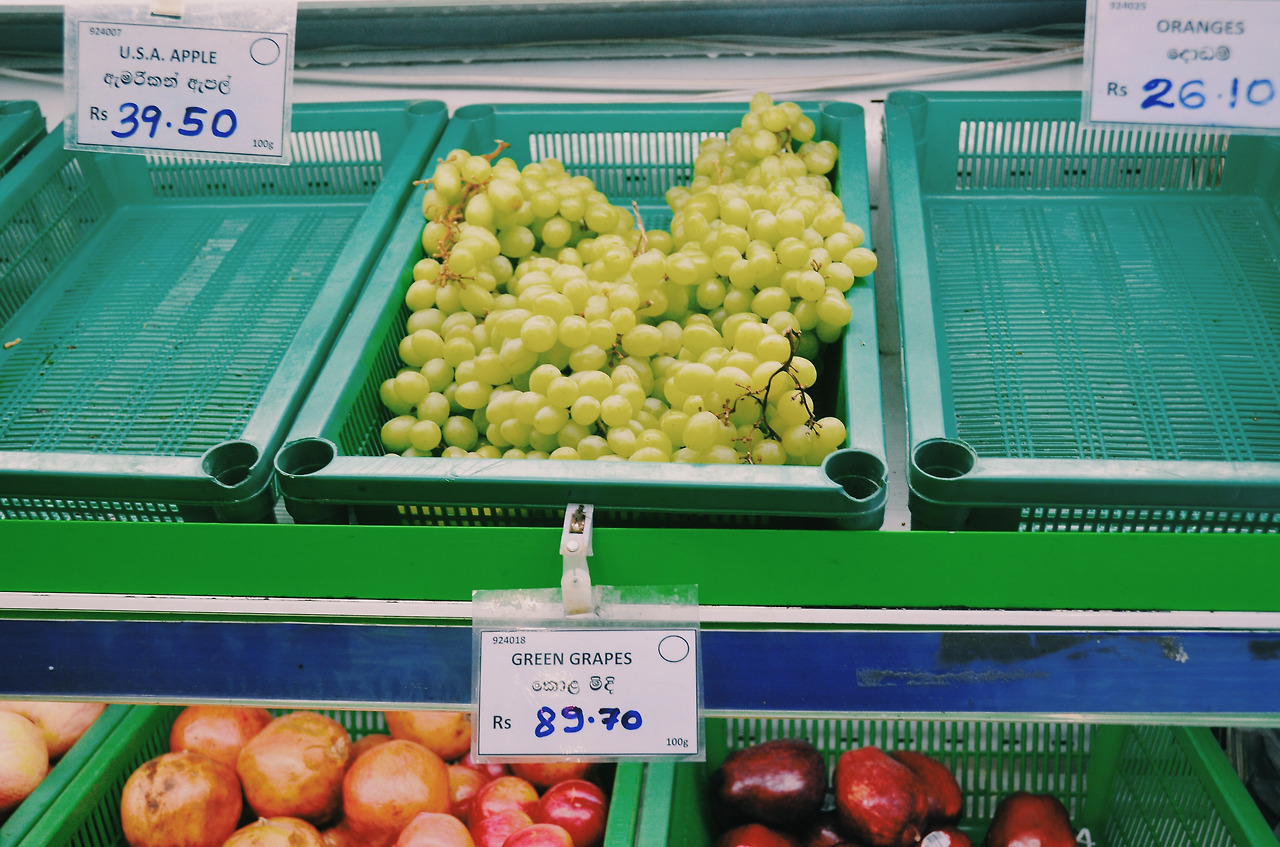 여행작가 서현지 인도변태 스리랑카  (18).jpg