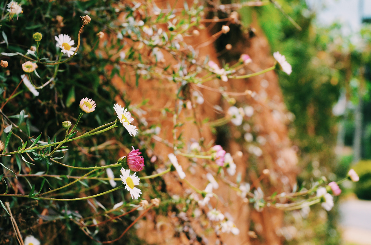 스리랑카 여행작가 인도변태 서현지 스리랑카여행 (18).jpg