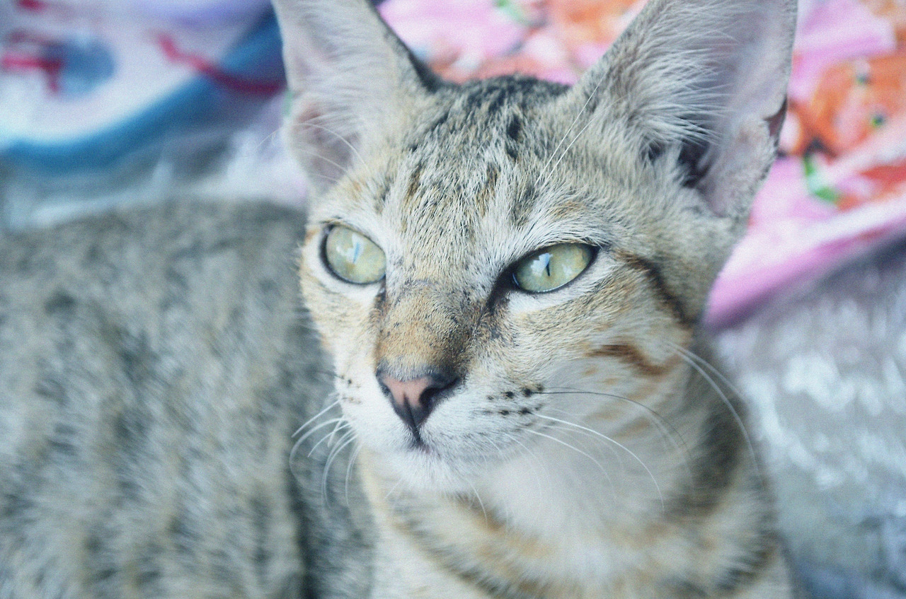 여행작가 서현지 자카르타 여행 (3).jpg