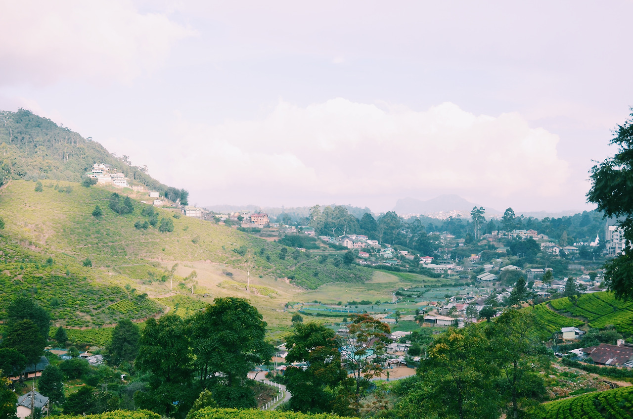 여행작가 서현지 스리랑카 인도변태 (17).jpg