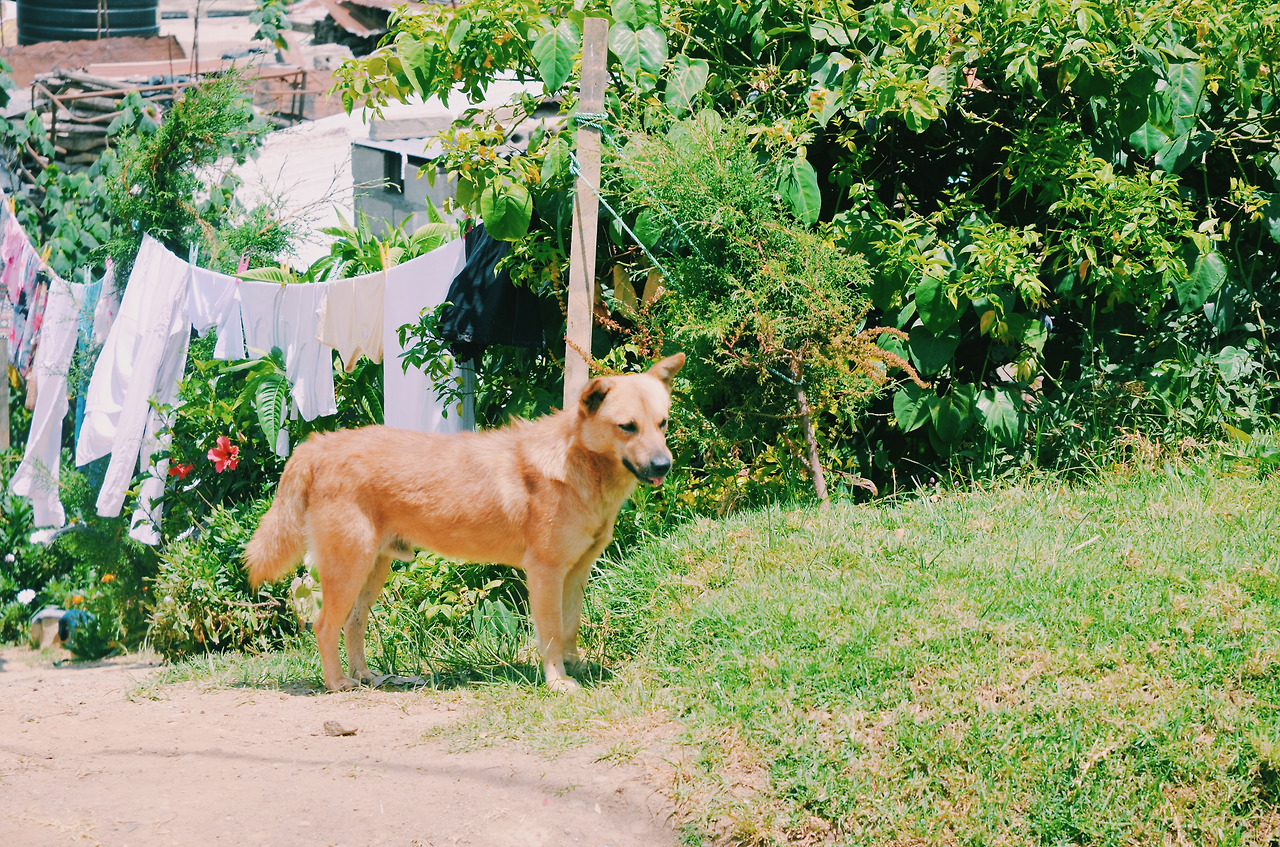 여행작가 서현지 인도변태 스리랑카  (1).jpg