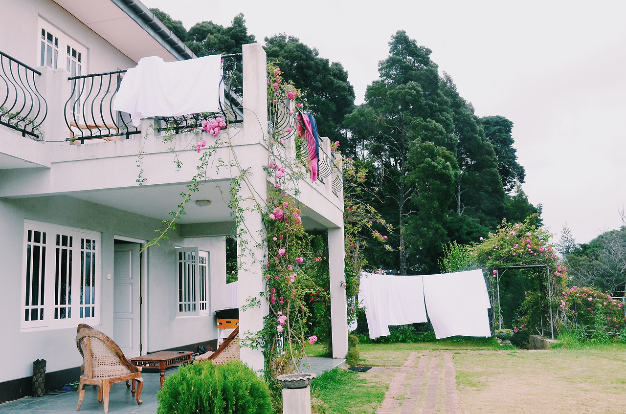 여행작가 서현지 스리랑카 인도변태 (1).jpg