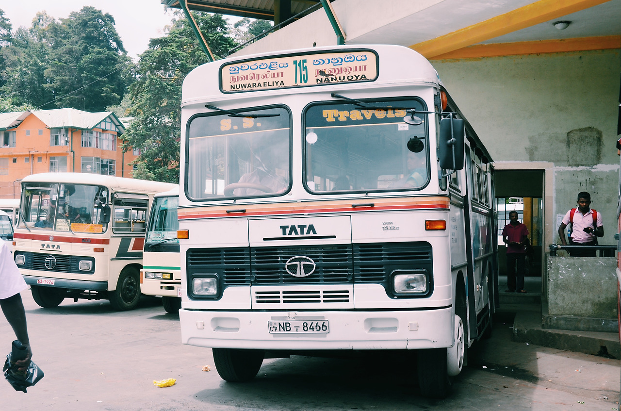 여행작가 서현지 스리랑카 인도변태 (2).jpg