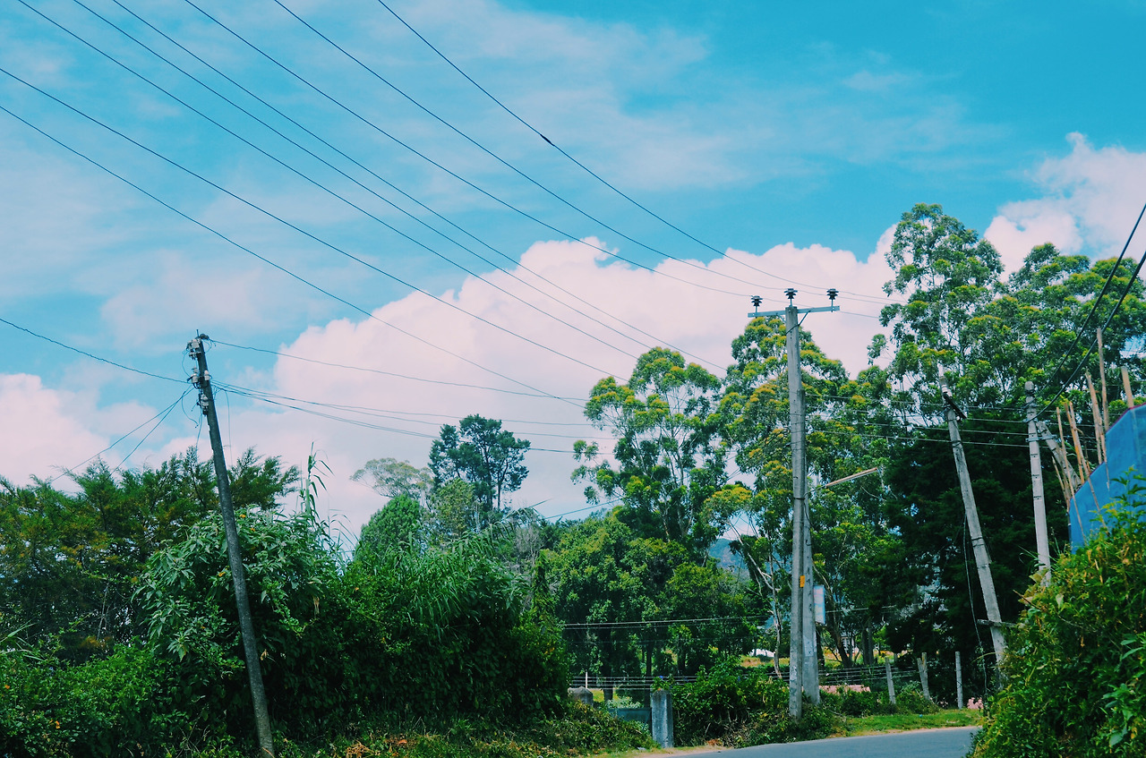 여행작가 서현지 인도변태 스리랑카  (22).jpg