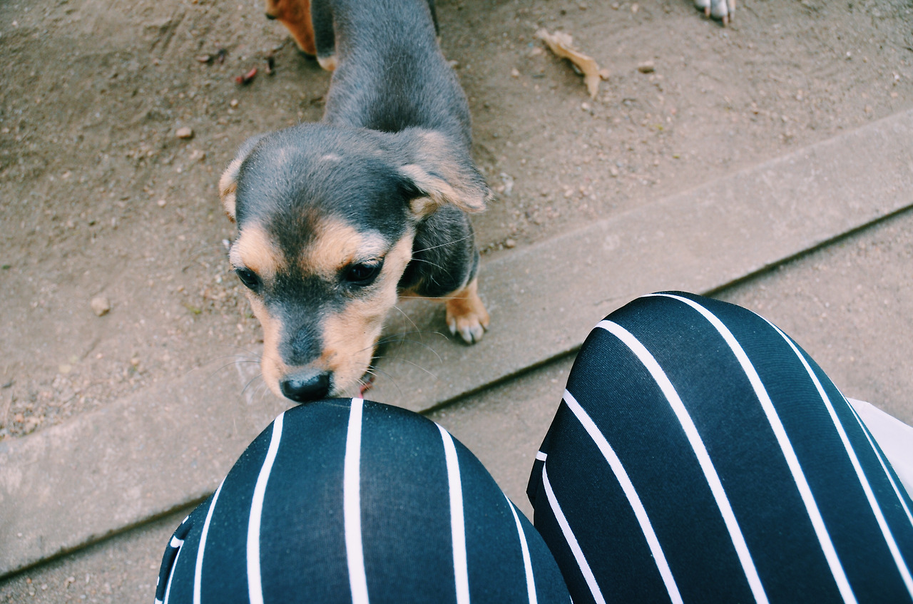 여행작가 서현지 스리랑카 인도변태 (5).jpg