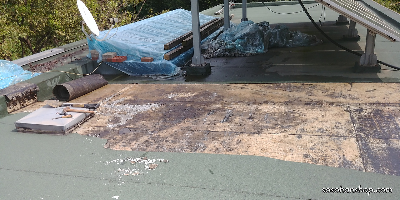 2018-09-07 14.18.12.jpg