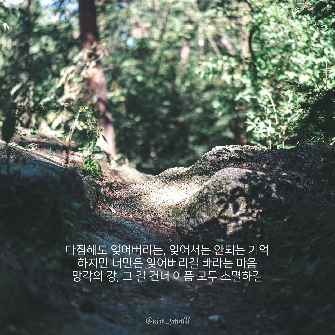 추모
