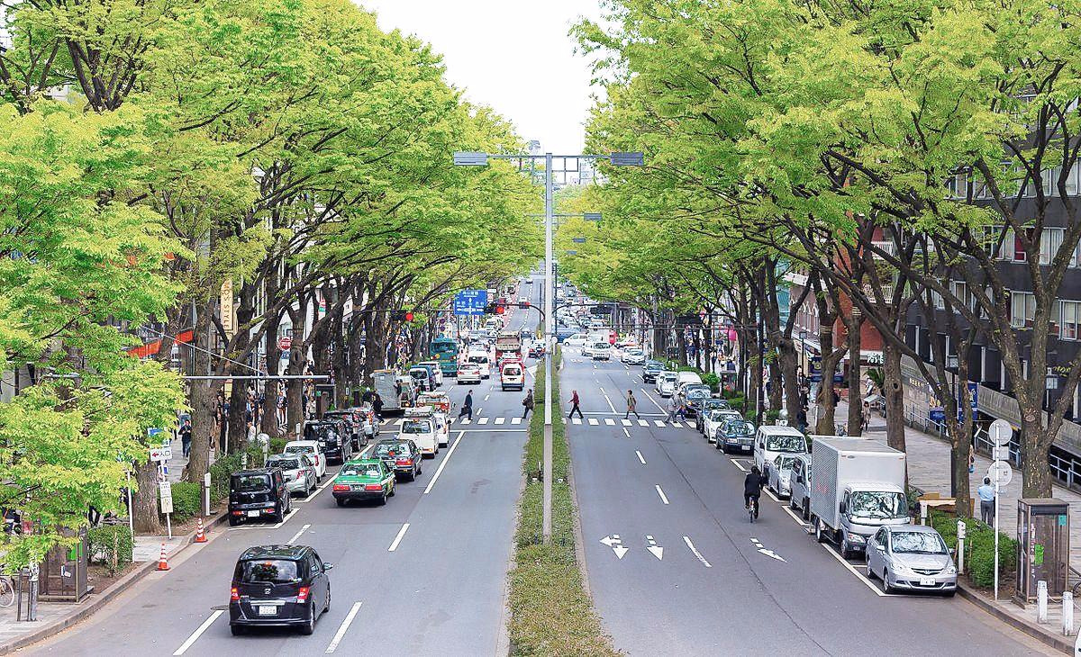 Omotesando_Tokyo_spring_2012.jpg