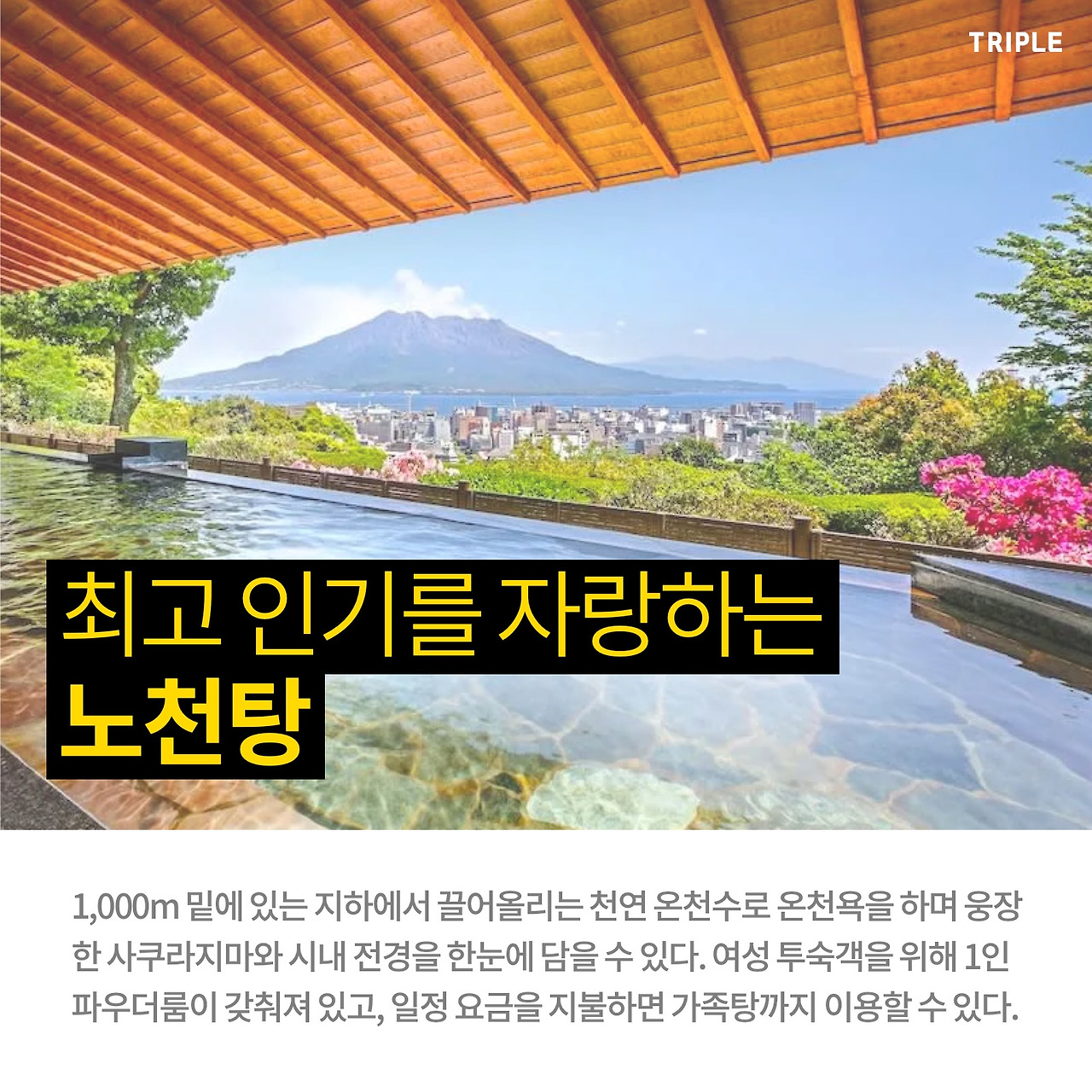 대지02.jpg