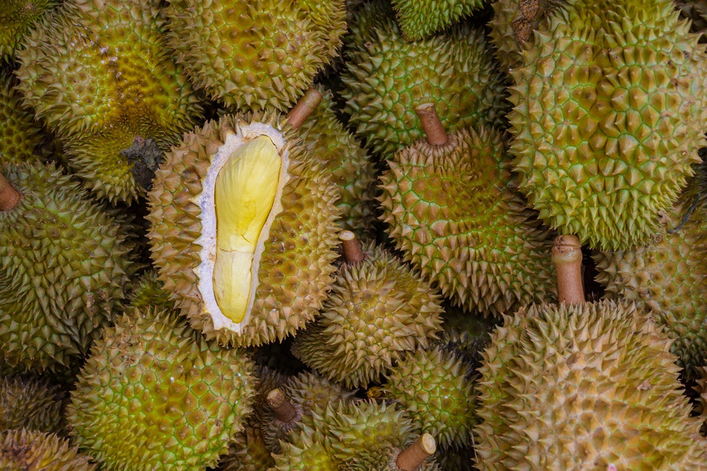 3-Local-Gifts-to-Bring-Home-from-Your-Next-Visit-to-Malaysia-Durian-1.jpg