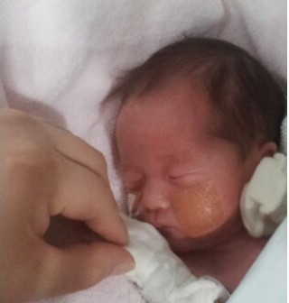 인큐베이터 효지니.jpg