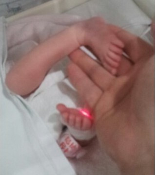 인큐베이터 효지니1.jpg