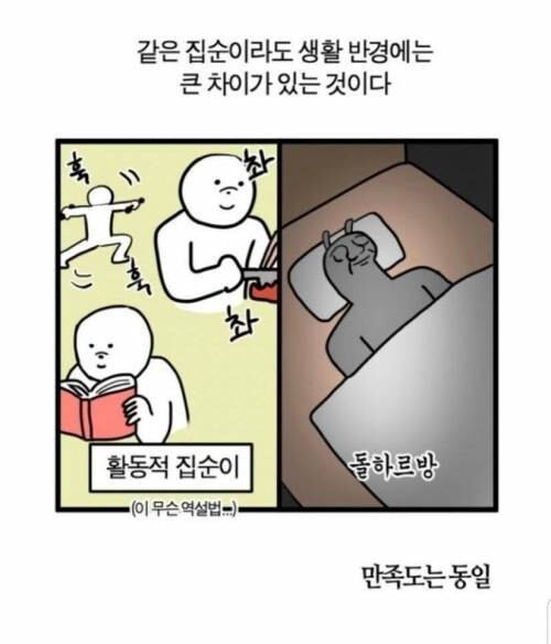 집순이 분류1.jpg