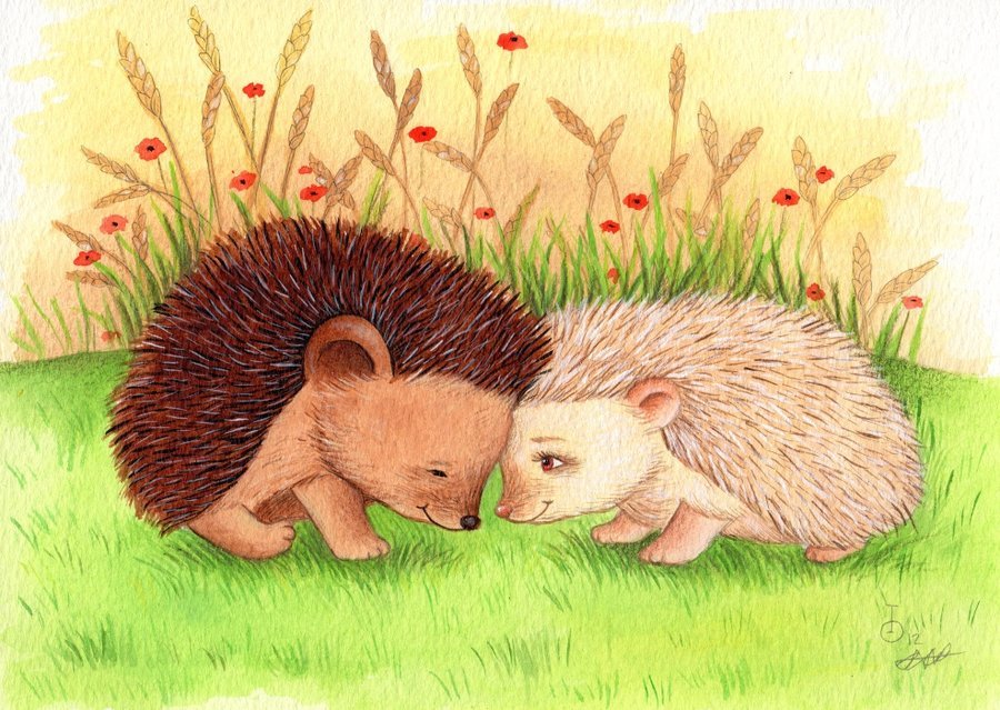 hedgehog_love_by_ireneshpak-d5g5t5e.jpg