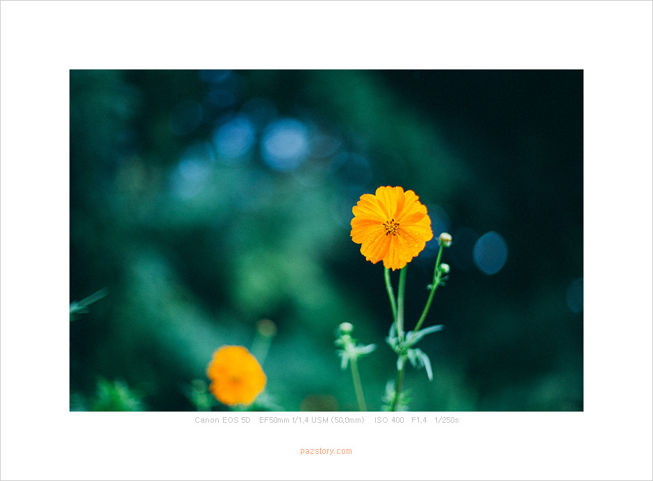 다운로드 (1).jpg